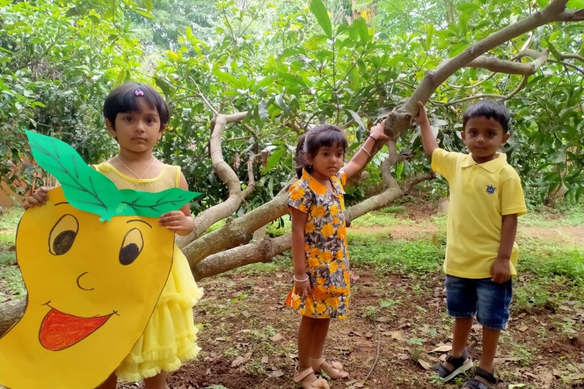 Mango Day Shanthiniketan Montessori